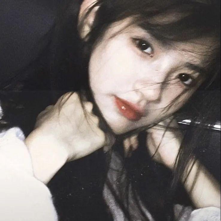 摄影师贝尔蒂与海豚零距离