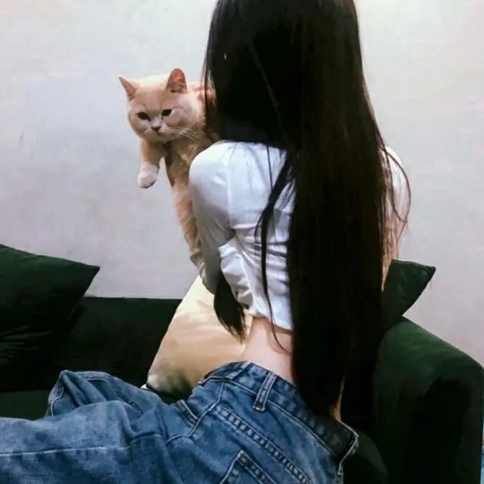 豹头王传说
